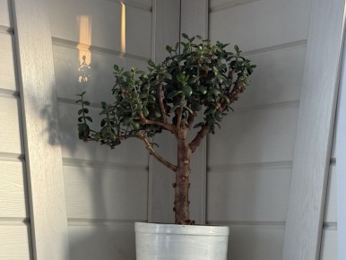 �������� ������: ��� ��������� ��������� � �������� ��������