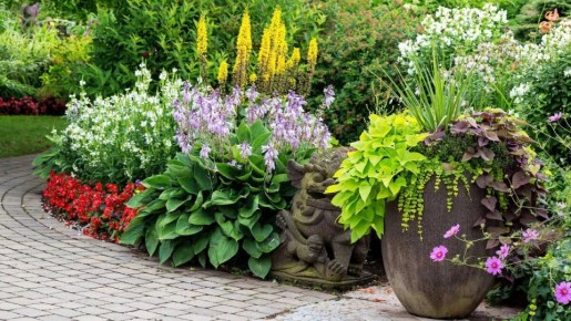 10 ��������, ������� ������� ��� ��� ����������� � ��������