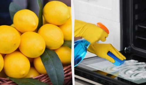 ����� � ��� ����� �������� � ������ � ������� ��������