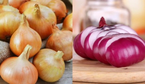 ������� �������� ����: ��������� �������� �� ����� �������