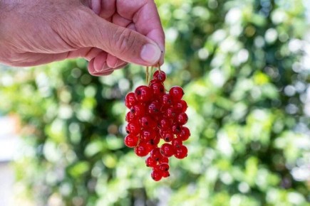 ������� �������� ��������� ��������� ������