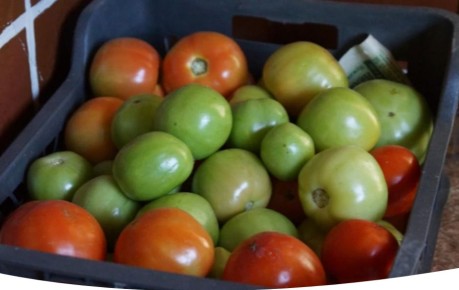 ��� ��������� ���������� ������� �������� ��� ���������� ������