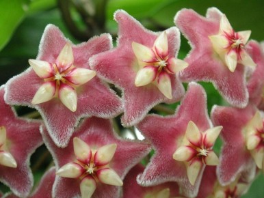 ����: �� ������� � �������� ��������