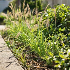 ����� ��� ������������ ������: �������������� ��������� ��������