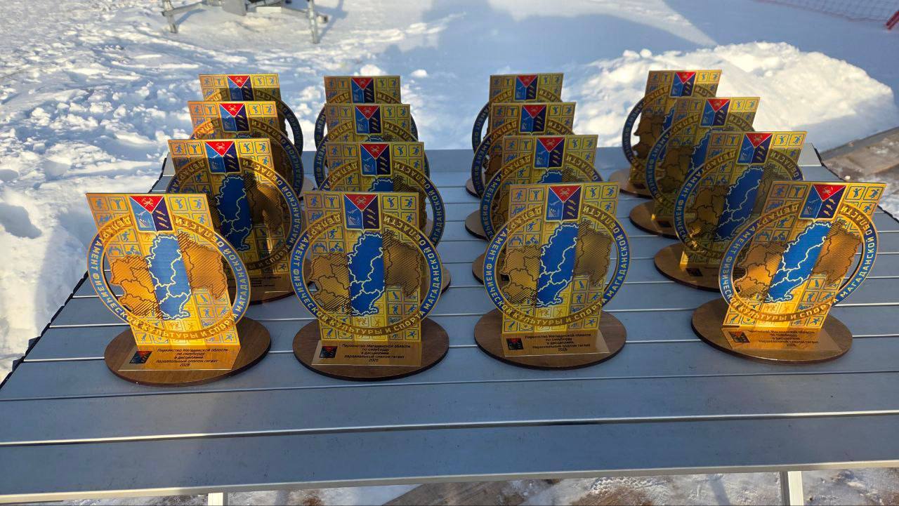 Лучших гимнастов и сноубордистов региона определили в Магадане Лучших гимнастов и сноубордистов региона определили в Магадане