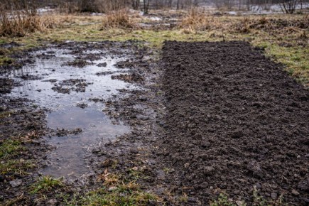как ушлый садовод решает проблему весеннего болота