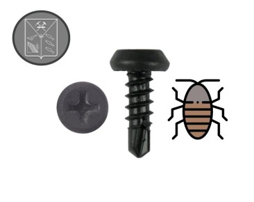 ������, ������� ����, ��� ������ ������� � ����� #��������49_���������!