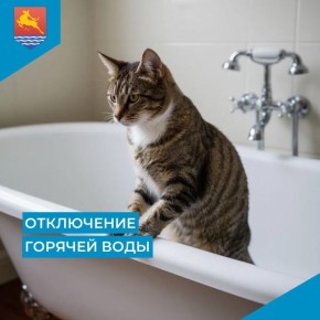 ��������� ������, �� ����� ���������, 21 � �����������, 26 ������ � 9:00 �� 13:00 ����� ���������� �������� �������������