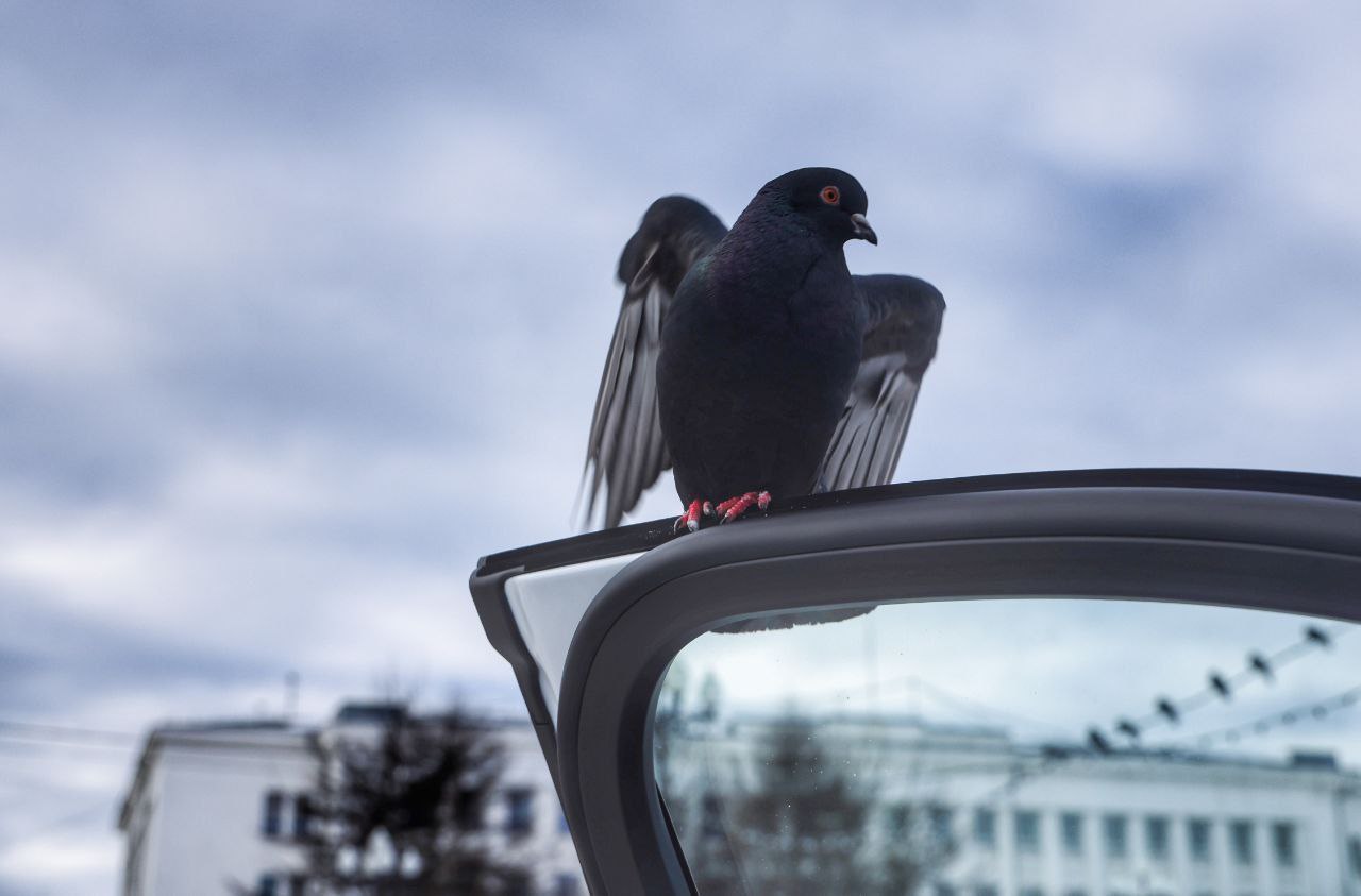 В воскресенье, 25 января, в Магаданской области преимущественно снежно и ветрено