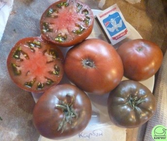 ����� �������: ������������ ���������� ��������� � �������� ������