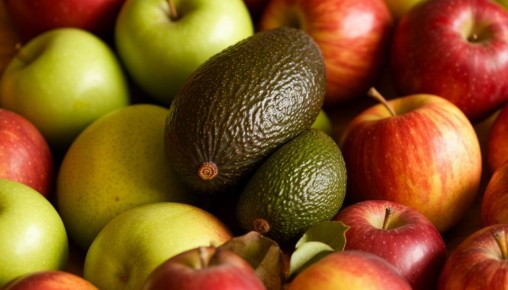 ��� ������ ������� ������� ������ � �������