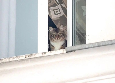 � �������� -5