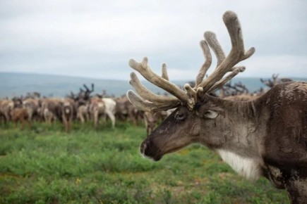 ������� ��������� � �������� ���� ������� ����� � ������ ��������������� �������� �� ������