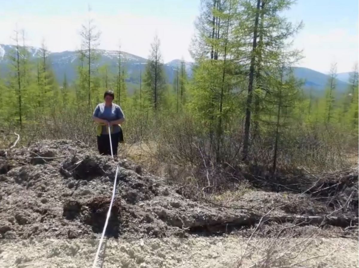 Палаткинское лесничество отметило 55-летие в Магаданской области Палаткинское лесничество отметило 55-летие в Магаданской области