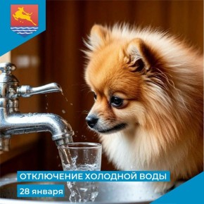 ��� ���������� ��������, ��� � ����� � ������������� ���������� ��������-����������������� ����� 28 ������ � 09:30 �� 13:30 �������� �������� ������������� �� ��������� �������: