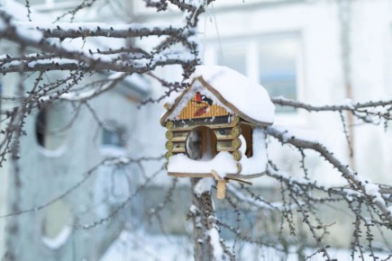 � �������� -5