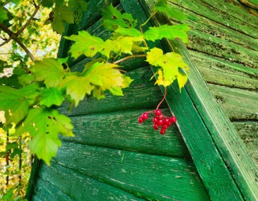 ������� �������� ���� � ����� ������� �� ������������ �������