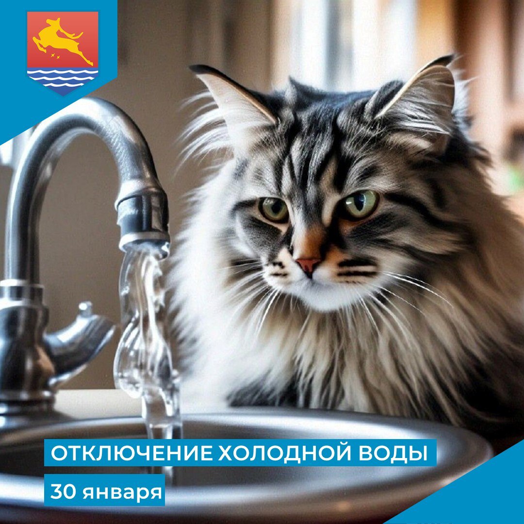 МУП «Водоканал» сообщает, что в связи с производством неотложных ремонтно-восстановительных работ 30 января с 09:30 до 13:30 отключат холодное водоснабжение по следующим адресам: