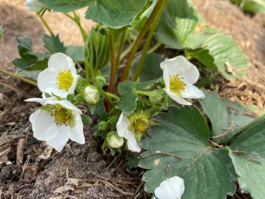 ��� �������� �������� �� ������������ ��� �����