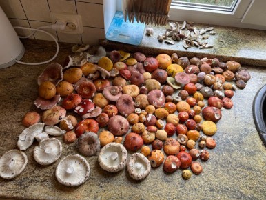 ����� ������� ������� ����: ����� �������� � ������������ �����