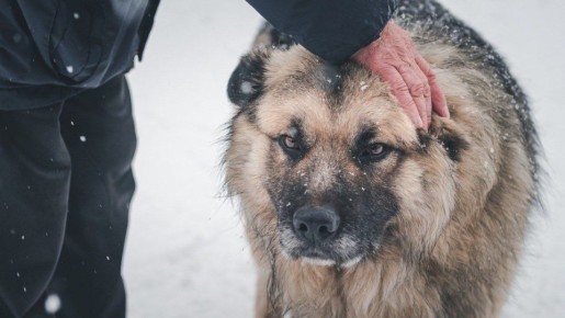 ����� ������������ ����� � �������� ���������� � ������� ������������ � ������������ ������� � � ����������� ��������� ���������� � ���������� ����������������