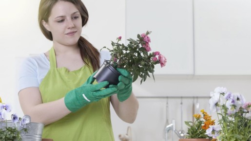 ��������� ���� �������: ��� ����������� �������� �� ������� ������� ������� ���������