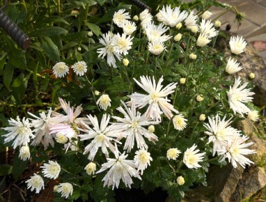 ����� �����: ��� ����� ������ ���������� ��������� ������ ����