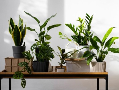 ��� �������� ����� ������ ��� �������� ������ � ��� ������