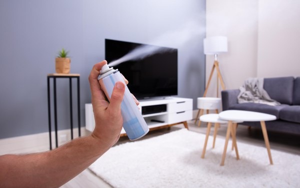 Как освежить пространство: простые советы по устранению неприятных запахов в квартире