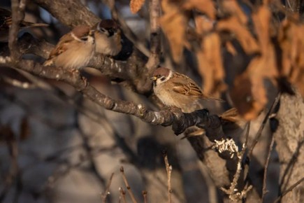 В Магадане -17