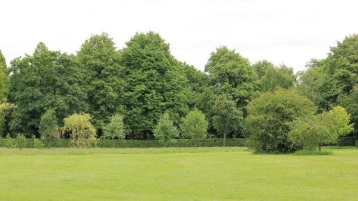 ��� ��������� �������� ����� � �����������: ���������� �������