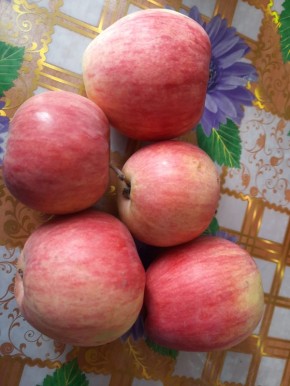 ��������� ������: ������ ������ � ������ ������ ���������� �� �����?