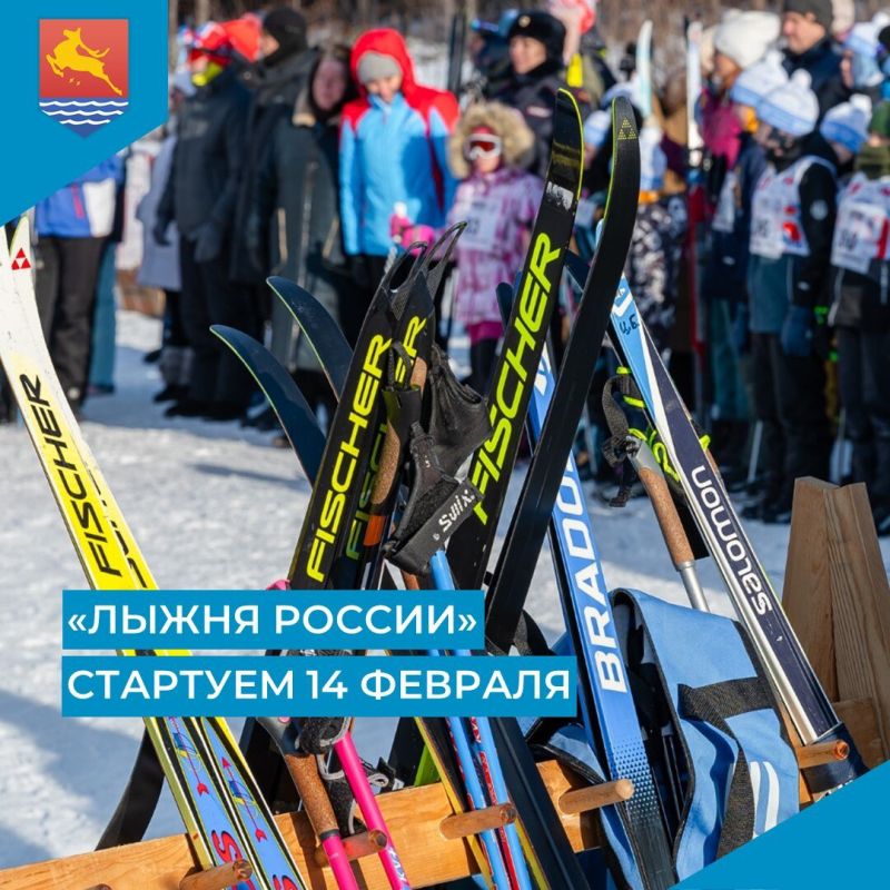 � ��������� ������ 14 ������� ������� 44-� �������� ������������� �������� ����� ������ ������