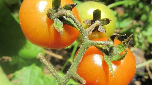 ������ ������ ������ ��������� ����� ��������� ������