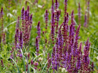 �����, ������� ������� ���� ���� � ����: 7 ������������ �������