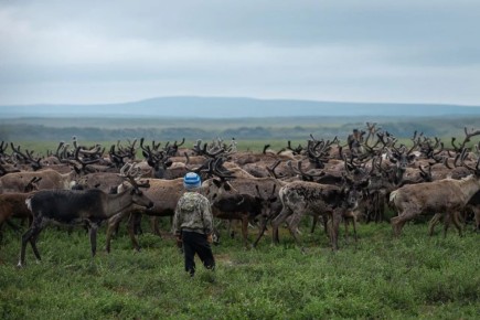 ��������� �� ���� ������ ��������� ������ � ����������� ������� � ��������