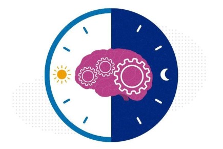 ������� ������: ������� ����� ��� �������� �������?