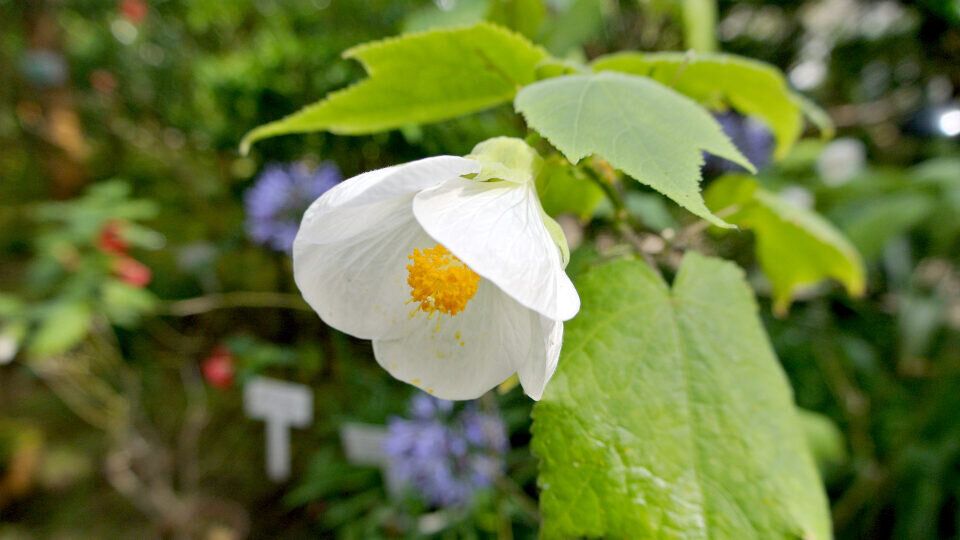 ��� ������� �������� �� ����������: ������� ��������� �����