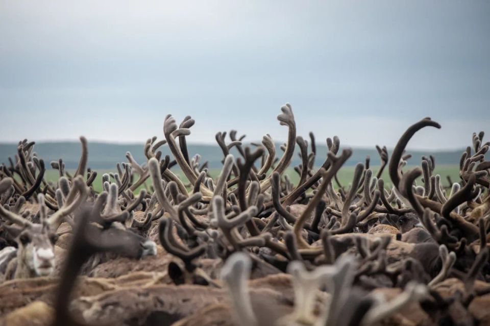 ���� ������ �������� ����� ����������� ��� ��������� ���������� ������