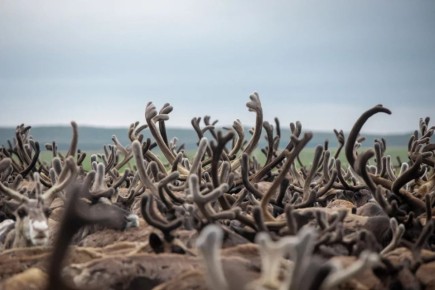 ���� ������ �������� ����� ����������� ��� ��������� ���������� ������