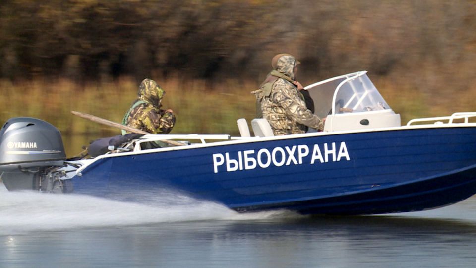 Госдума усиливает защиту краснокнижных видов рыбы через новые полномочия рыбоохраны