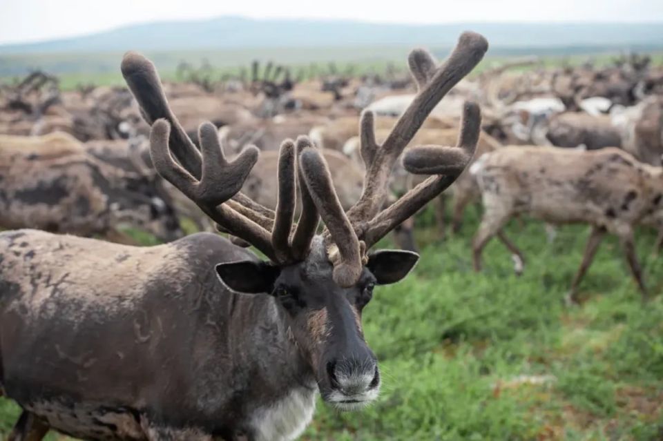 �������� ������� �������� ����� �� ������� ������� ������������ � ����������� �������