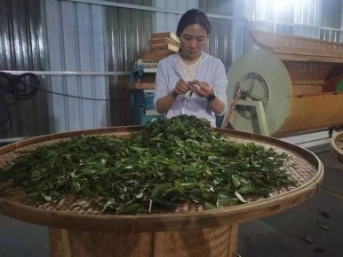 Нян Нян Ча: желтый чай с характером и историей