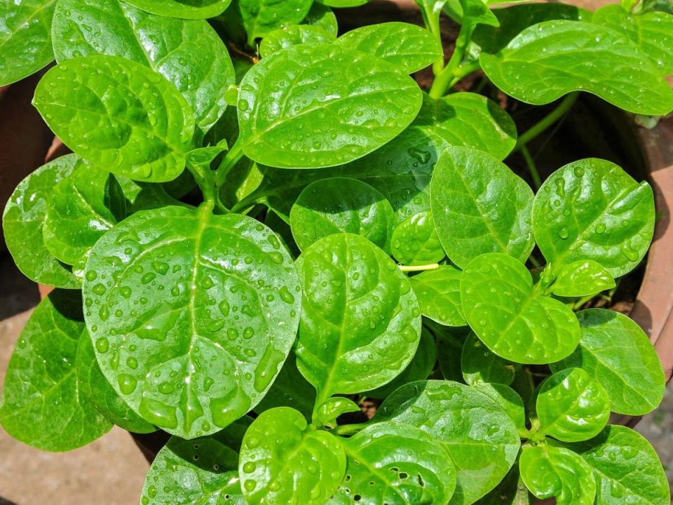 ������: �������� ���� ��� ������ ������� � �����