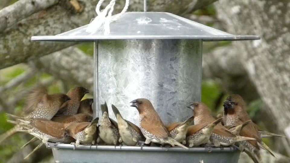 ����� � ������ �������� ��� ����