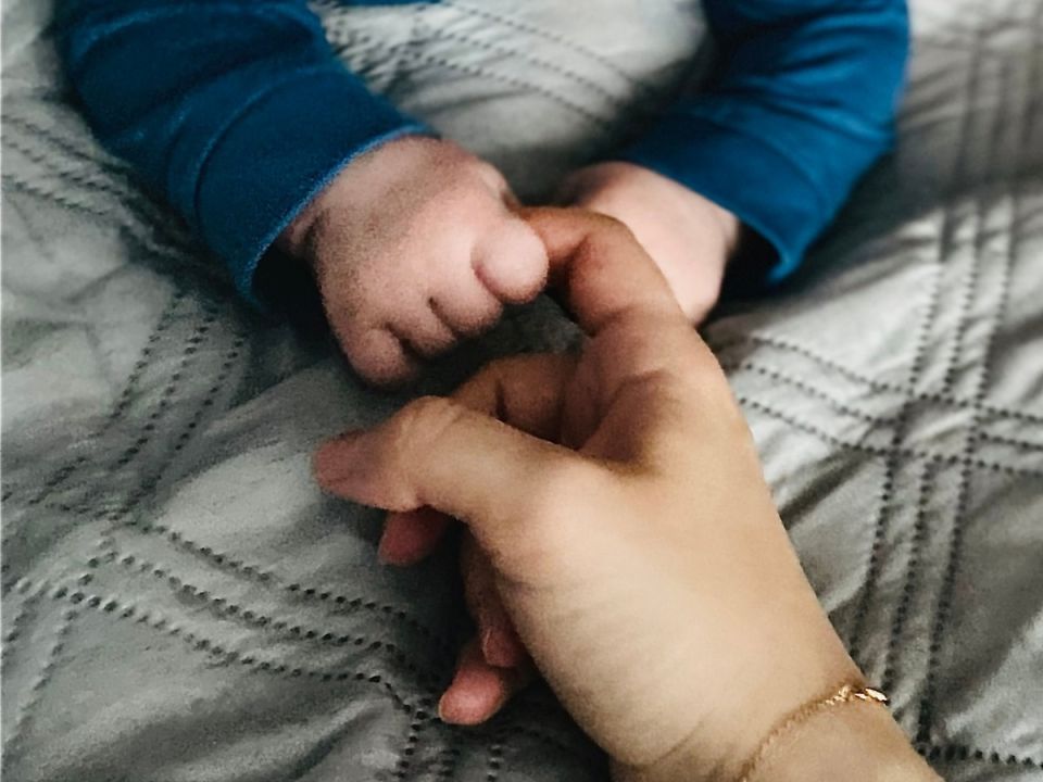 ����� ������� ����� ����� ��� ���������: ��� ���������� � ������ 2026 ����