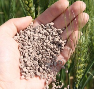 ����� � ����: ���������, ������� ��������� ���� ��� ������