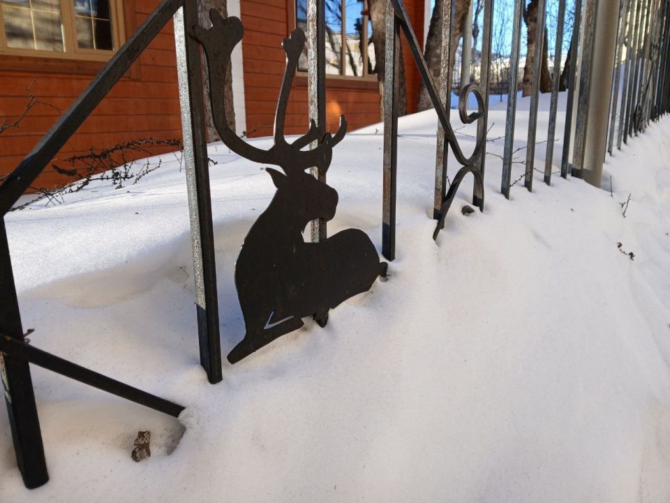 � �������� -6