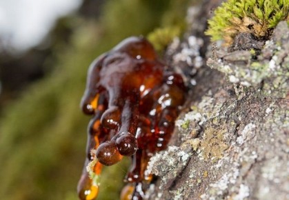 ����������� ������� �������� ����� � ������ � ���