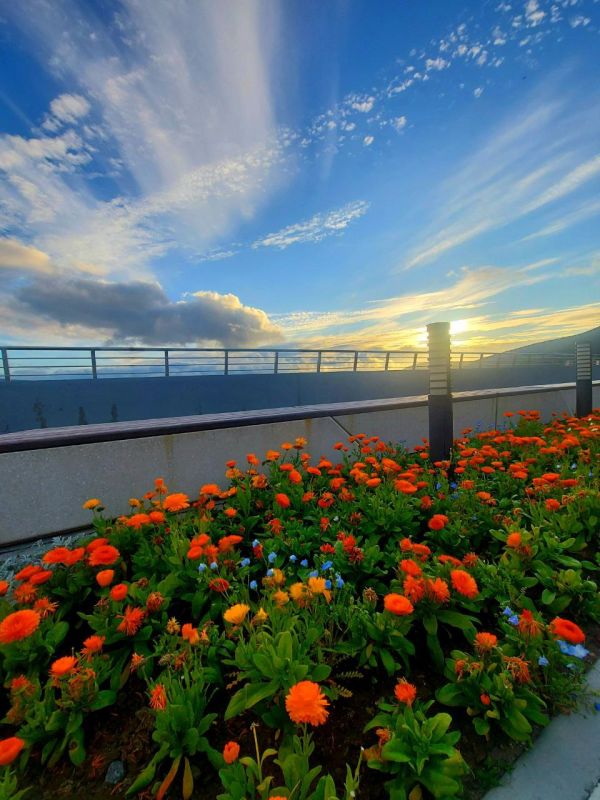 ������ ����������: ������� ������ ���� � ������